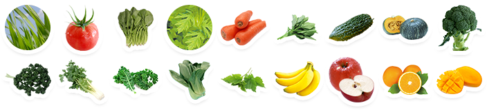 １４種の野菜と４種のフルーツ